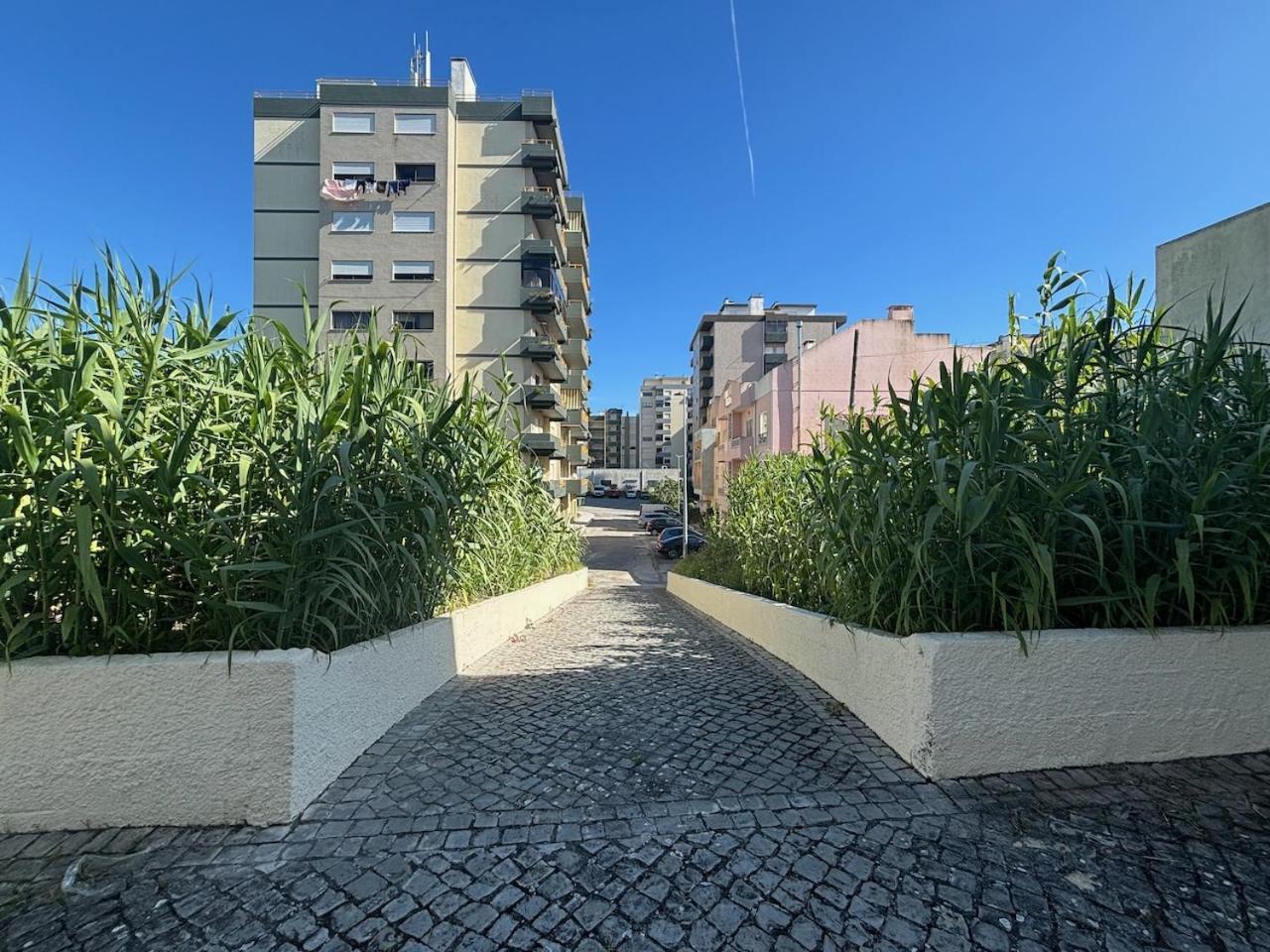 Rosario - Two Bedroom Apart- Buarcos - Figueira Da Foz Exteriör bild